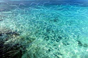 Morze V 2016, fotografia retuszowana 30x20cm